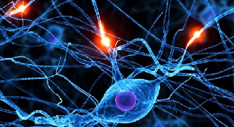 cuarentena_redes_hebb.jpg cuarentena_redes_hebb.jpg